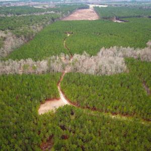 Photo #21 of SOLD property in Off Hilltop Lane, Skippers, VA 70.3 acres