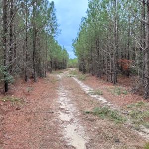 Photo #22 of SOLD property in Off Hilltop Lane, Skippers, VA 70.3 acres