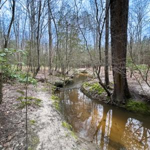 Photo #24 of SOLD property in Off Hilltop Lane, Skippers, VA 70.3 acres