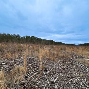 Photo #25 of SOLD property in Off Hilltop Lane, Skippers, VA 70.3 acres