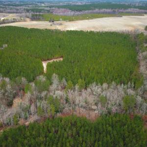 Photo #27 of SOLD property in Off Hilltop Lane, Skippers, VA 70.3 acres