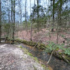 Photo #28 of SOLD property in Off Hilltop Lane, Skippers, VA 70.3 acres