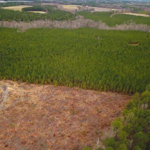 Photo #29 of SOLD property in Off Hilltop Lane, Skippers, VA 70.3 acres