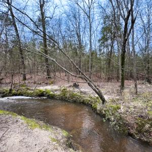 Photo #3 of SOLD property in Off Hilltop Lane, Skippers, VA 70.3 acres