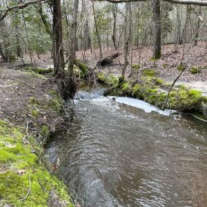 Photo #31 of SOLD property in Off Hilltop Lane, Skippers, VA 70.3 acres