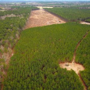 Photo #32 of SOLD property in Off Hilltop Lane, Skippers, VA 70.3 acres
