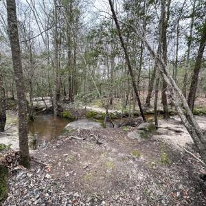 Photo #33 of SOLD property in Off Hilltop Lane, Skippers, VA 70.3 acres