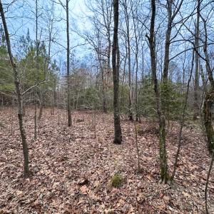 Photo #34 of SOLD property in Off Hilltop Lane, Skippers, VA 70.3 acres