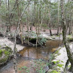 Photo #35 of SOLD property in Off Hilltop Lane, Skippers, VA 70.3 acres