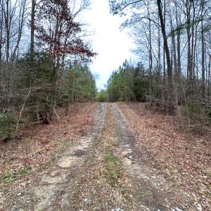Photo #36 of SOLD property in Off Hilltop Lane, Skippers, VA 70.3 acres