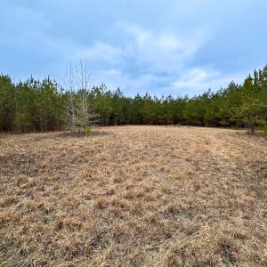 Photo #37 of SOLD property in Off Hilltop Lane, Skippers, VA 70.3 acres