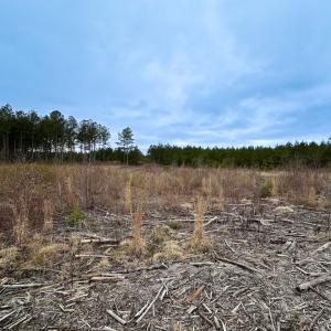 Photo #39 of SOLD property in Off Hilltop Lane, Skippers, VA 70.3 acres