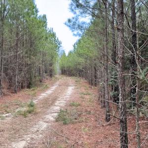 Photo #40 of SOLD property in Off Hilltop Lane, Skippers, VA 70.3 acres
