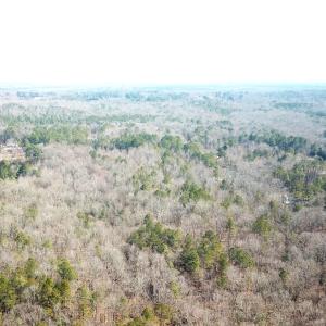 Photo #4 of SOLD property in 16024, 16118, & 16116 Exter Mill Rd, Chesterfield, VA 18.4 acres