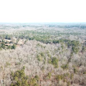 Photo #5 of SOLD property in 16024, 16118, & 16116 Exter Mill Rd, Chesterfield, VA 18.4 acres