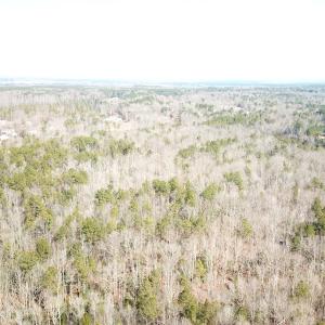 Photo #6 of SOLD property in 16024, 16118, & 16116 Exter Mill Rd, Chesterfield, VA 18.4 acres
