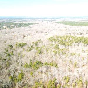 Photo #7 of SOLD property in 16024, 16118, & 16116 Exter Mill Rd, Chesterfield, VA 18.4 acres