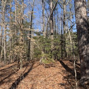 Photo #11 of SOLD property in 16024, 16118, & 16116 Exter Mill Rd, Chesterfield, VA 18.4 acres