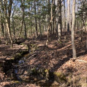 Photo #13 of SOLD property in 16024, 16118, & 16116 Exter Mill Rd, Chesterfield, VA 18.4 acres