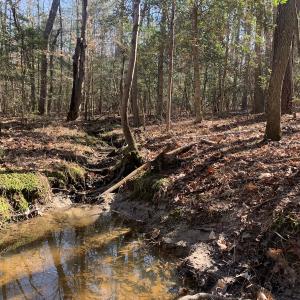 Photo #15 of SOLD property in 16024, 16118, & 16116 Exter Mill Rd, Chesterfield, VA 18.4 acres