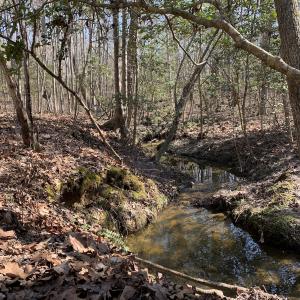 Photo #18 of SOLD property in 16024, 16118, & 16116 Exter Mill Rd, Chesterfield, VA 18.4 acres