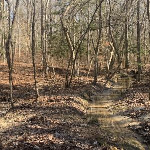 Photo #24 of SOLD property in 16024, 16118, & 16116 Exter Mill Rd, Chesterfield, VA 18.4 acres