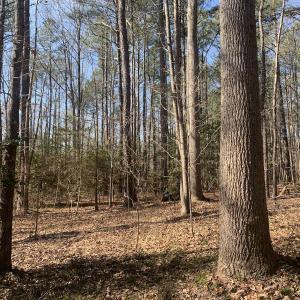 Photo #26 of SOLD property in 16024, 16118, & 16116 Exter Mill Rd, Chesterfield, VA 18.4 acres