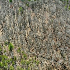 Photo #8 of Off Kemp Ford Rd, Union Hall, VA 7.1 acres
