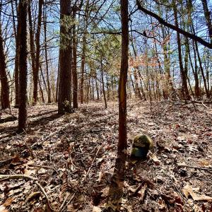 Photo #14 of Off Kemp Ford Rd, Union Hall, VA 7.1 acres