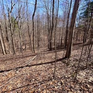 Photo #17 of Off Kemp Ford Rd, Union Hall, VA 7.1 acres