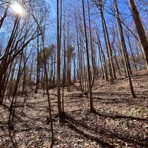 Photo #18 of Off Kemp Ford Rd, Union Hall, VA 7.1 acres