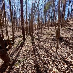 Photo #19 of Off Kemp Ford Rd, Union Hall, VA 7.1 acres