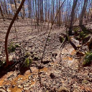Photo #20 of Off Kemp Ford Rd, Union Hall, VA 7.1 acres