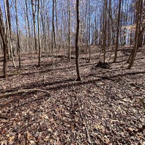 Photo #21 of Off Kemp Ford Rd, Union Hall, VA 7.1 acres