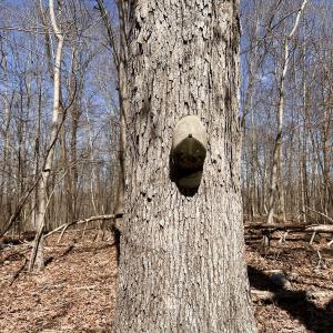 Photo #25 of Off Kemp Ford Rd, Union Hall, VA 7.1 acres