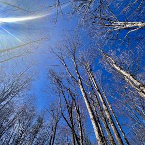 Photo #27 of Off Kemp Ford Rd, Union Hall, VA 7.1 acres
