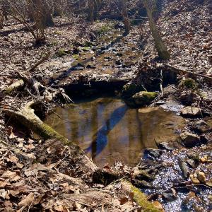 Photo #29 of Off Kemp Ford Rd, Union Hall, VA 7.1 acres
