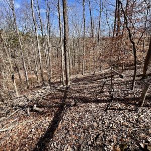 Photo #33 of Off Kemp Ford Rd, Union Hall, VA 7.1 acres
