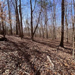 Photo #35 of Off Kemp Ford Rd, Union Hall, VA 7.1 acres