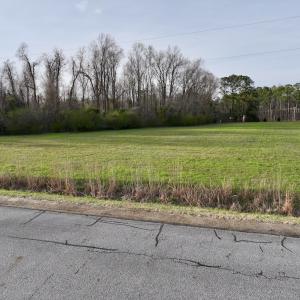 Photo #12 of SOLD property in Off Old Mill Rd, Chocowinity, NC 3.7 acres