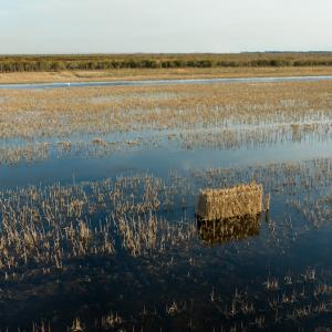 Photo #2 of SOLD property in Off North Lake Rd, Fairfield, NC 11,600.0 acres
