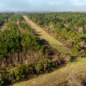 Photo #11 of SOLD property in Off North Lake Rd, Fairfield, NC 11,600.0 acres