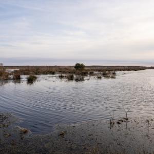 Photo #14 of SOLD property in Off North Lake Rd, Fairfield, NC 11,600.0 acres