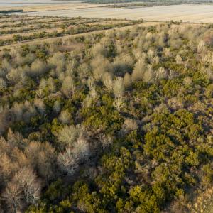 Photo #3 of SOLD property in Off North Lake Rd, Fairfield, NC 11,600.0 acres
