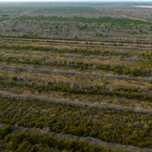 Photo #5 of SOLD property in Off North Lake Rd, Fairfield, NC 11,600.0 acres
