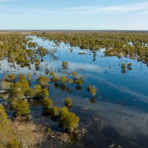 Photo #7 of SOLD property in Off North Lake Rd, Fairfield, NC 11,600.0 acres