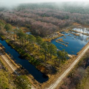 Photo #10 of Off North Lake Rd, Fairfield, NC 11,600.0 acres