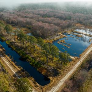 Photo #10 of SOLD property in Off North Lake Rd, Fairfield, NC 11,600.0 acres