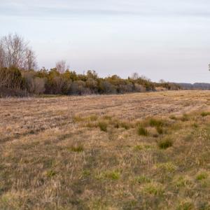 Photo #21 of SOLD property in Off North Lake Rd, Fairfield, NC 11,600.0 acres