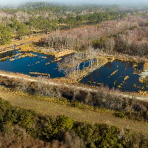 Photo #22 of SOLD property in Off North Lake Rd, Fairfield, NC 11,600.0 acres